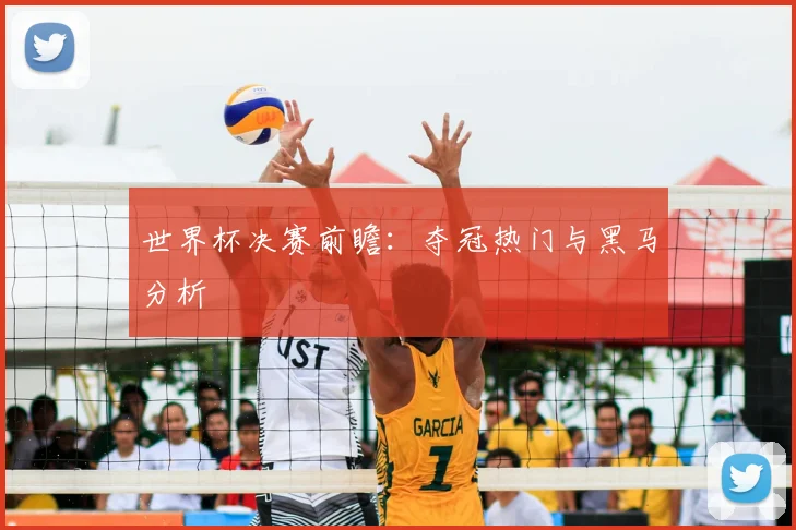 世界杯决赛前瞻：夺冠热门与黑马分析